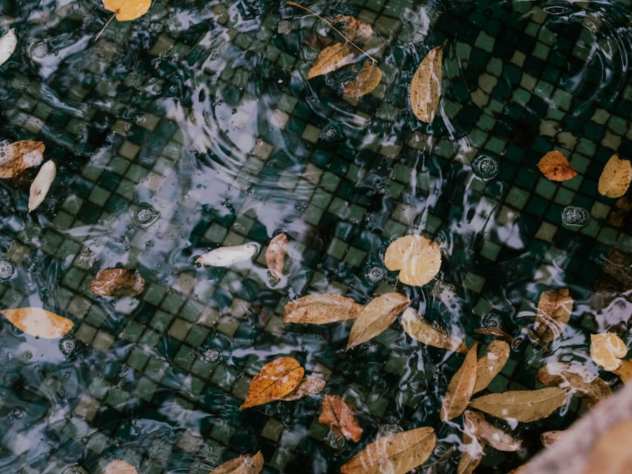 Autumn leaves floating on water surface