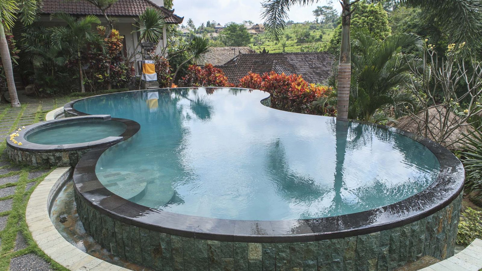 Freeform pool with a dark tile infinity edge