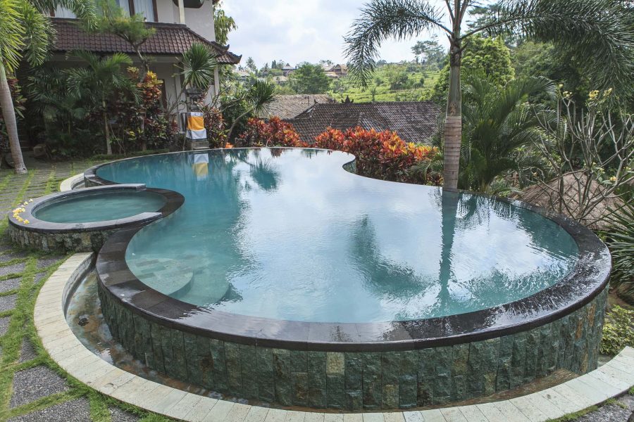 Freeform pool with a dark tile infinity edge